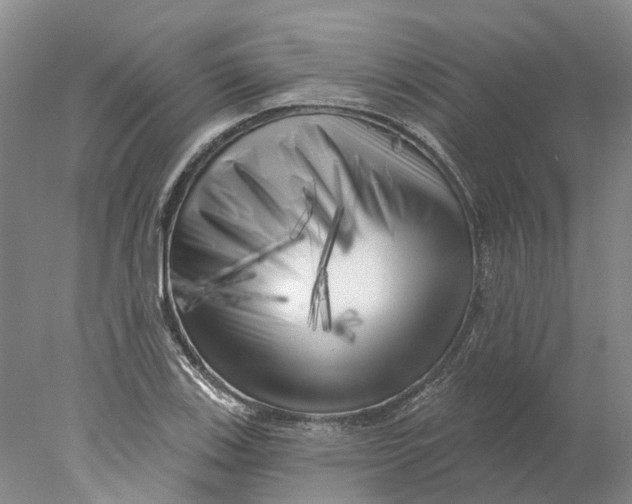 X0000077981123200611171722