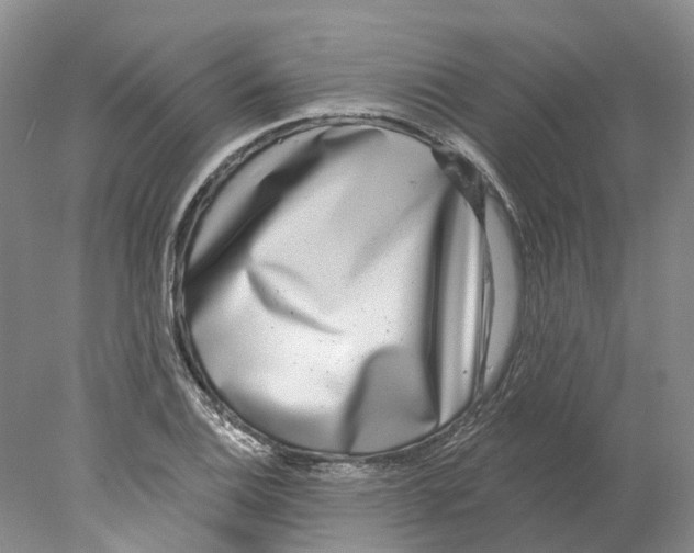 X0000077981124200611171722
