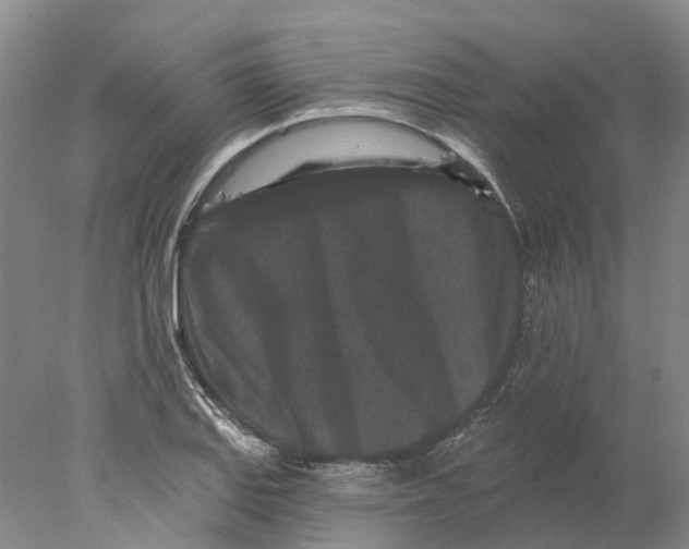 X0000077981127200611171722
