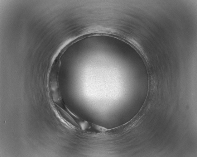 X0000077981128200611171722