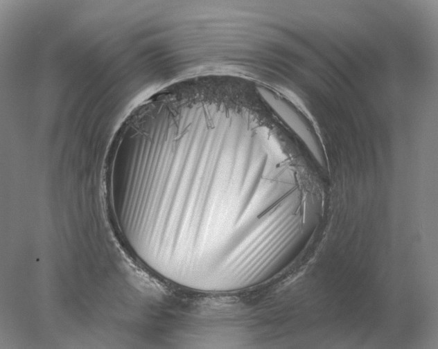 X0000077981133200611171722