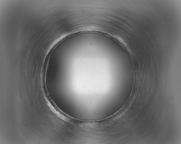X0000077981134200611171722
