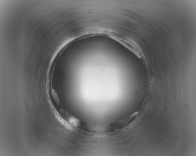 X0000077981136200611171722