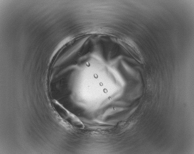 X0000077981138200611171722