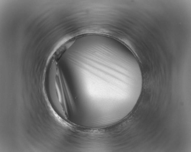 X0000077981139200611171722