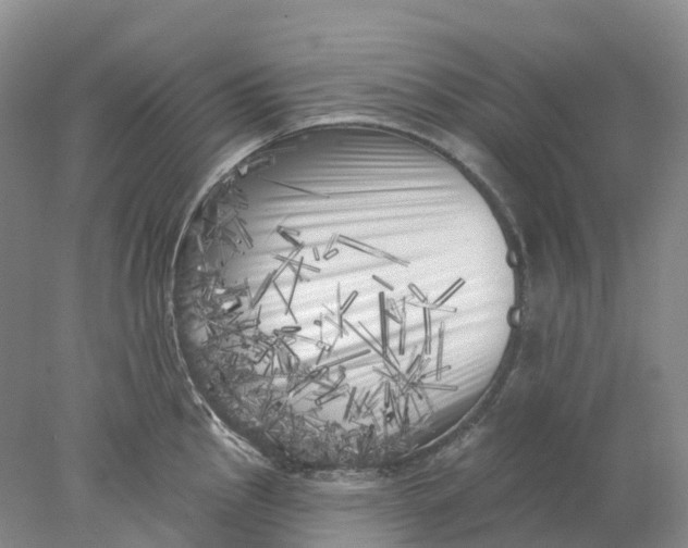 X0000077981145200611171722