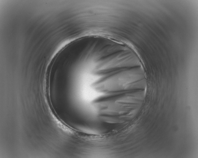 X0000077981147200611171722