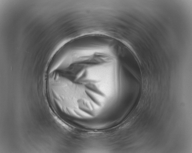 X0000077981151200611171722