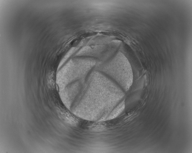 X0000077981156200611171721