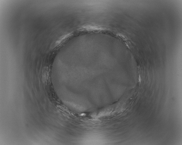 X0000077981157200611171721