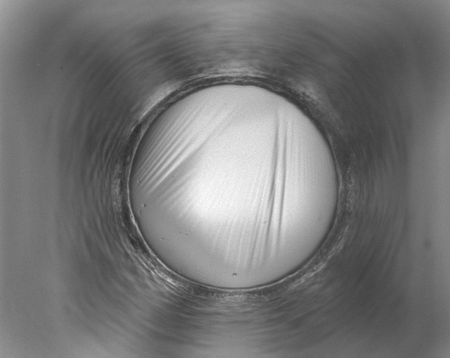 X0000077981162200611171721