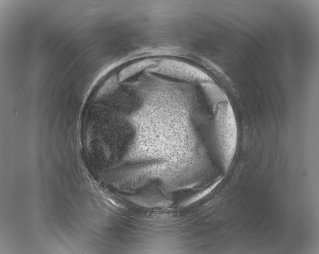 X0000077981174200611171721