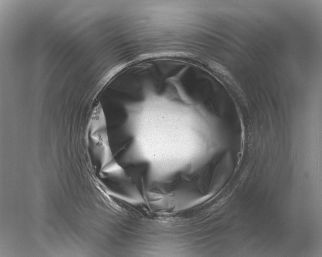 X0000077981177200611171721