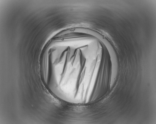X0000077981184200611171721