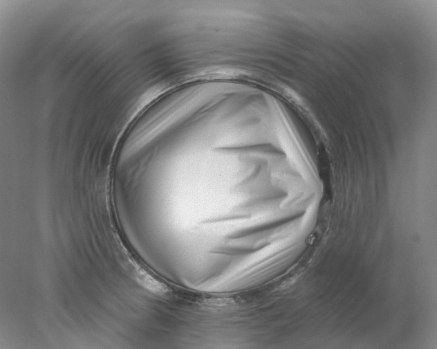 X0000077981186200611171721