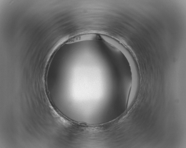 X0000077981189200611171721