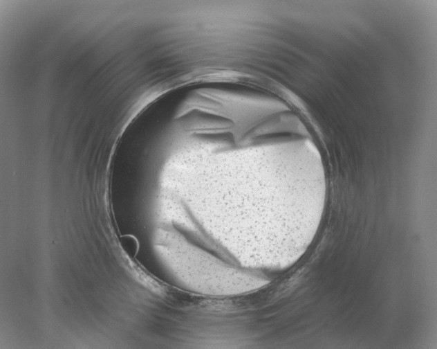 X0000077981194200611171720