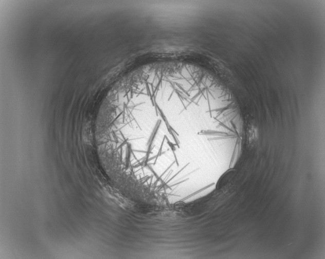 X0000077981204200611171720