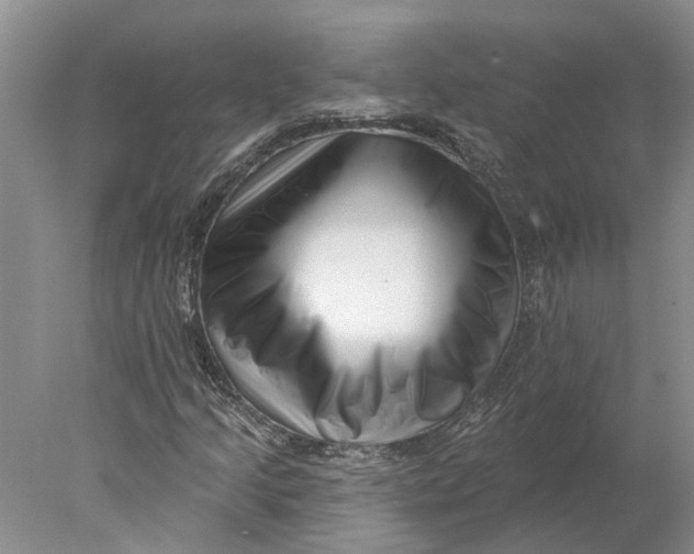 X0000077981205200611171720