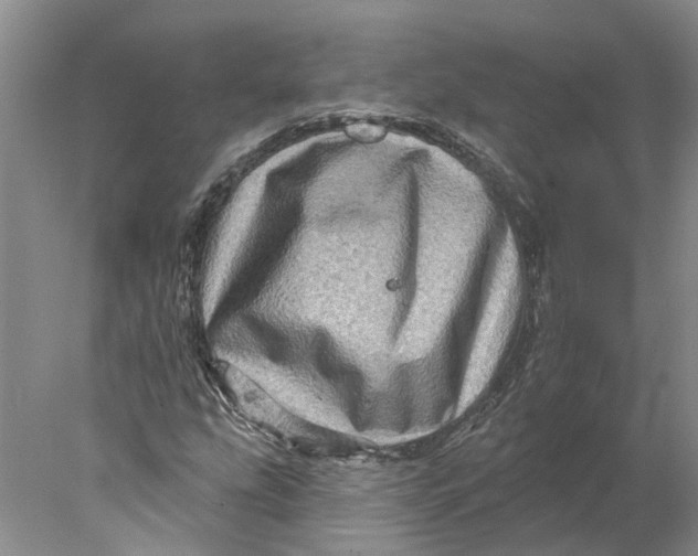 X0000077981207200611171720
