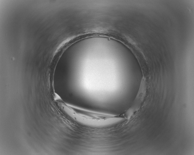 X0000077981214200611171720