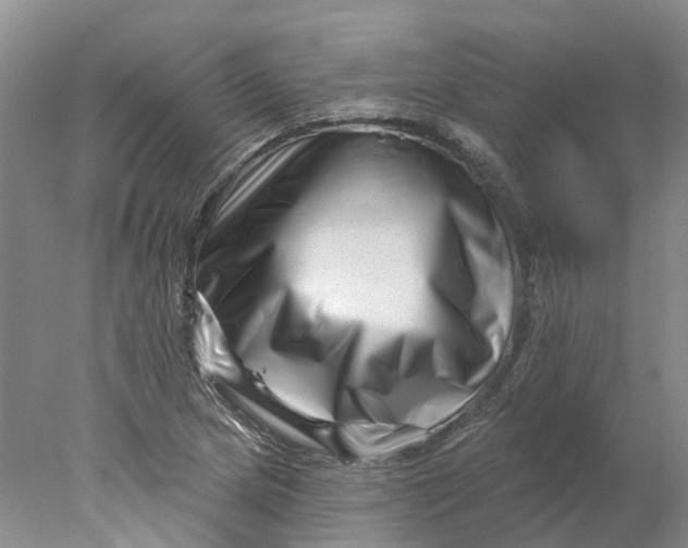 X0000077981217200611171720