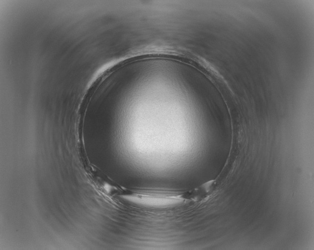 X0000077981222200611171720