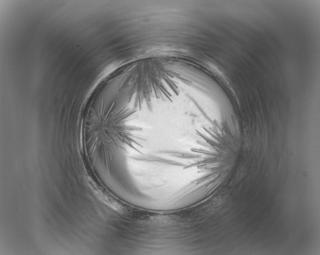 X0000077981227200611171720