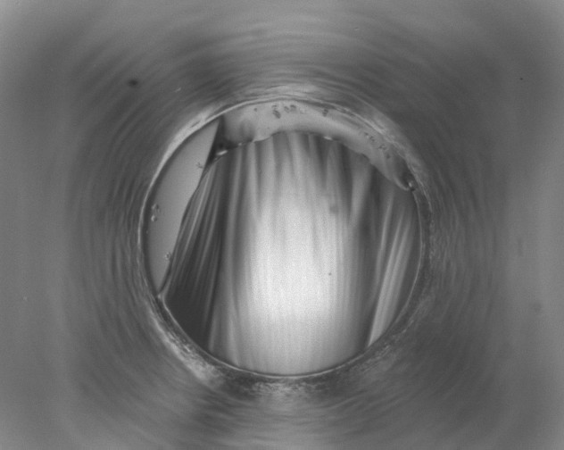 X0000077981234200611171720