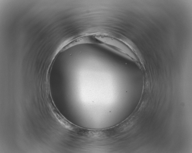 X0000077981242200611171720