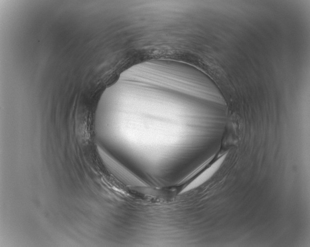 X0000077981250200611171720