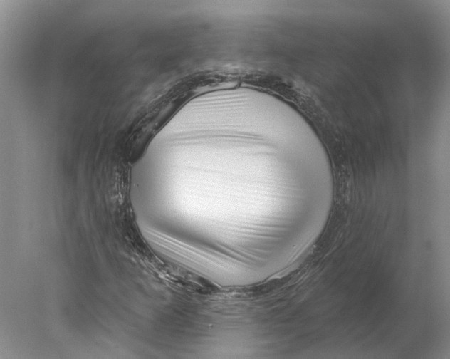 X0000077981253200611171719