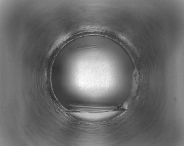 X0000077981261200611171719