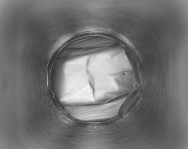 X0000077981269200611171719