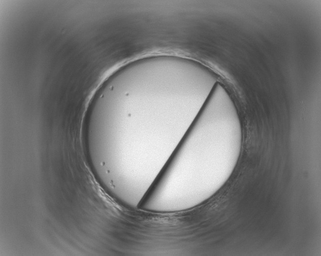 X0000077981272200611171719