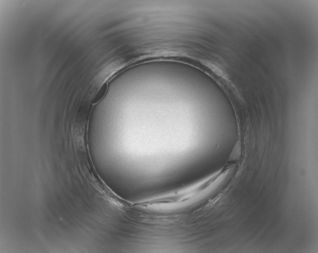X0000077981273200611171719