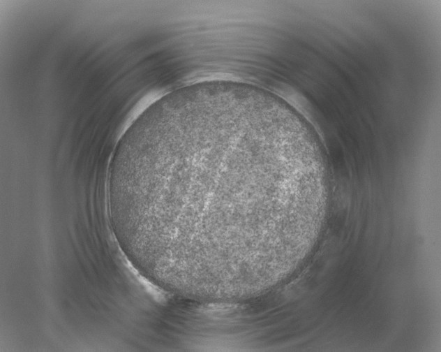 X0000077981290200611171719