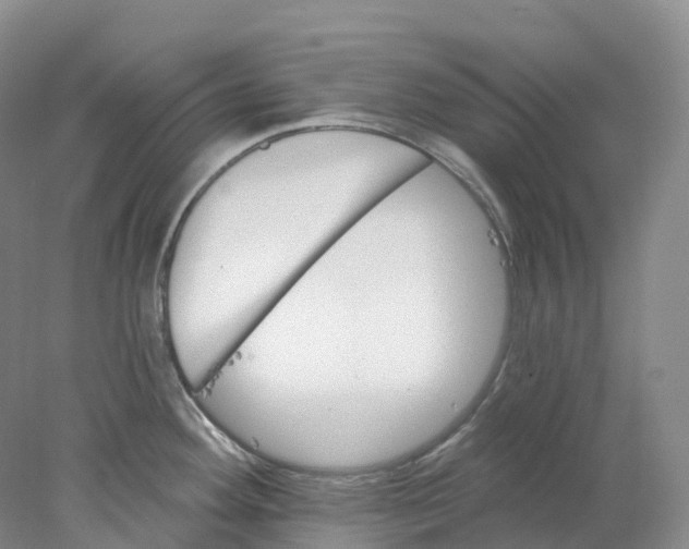 X0000077981292200611171719