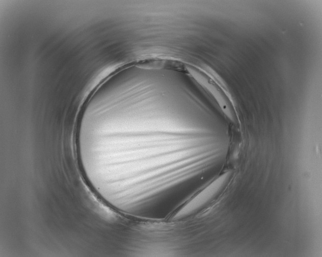 X0000077981293200611171719