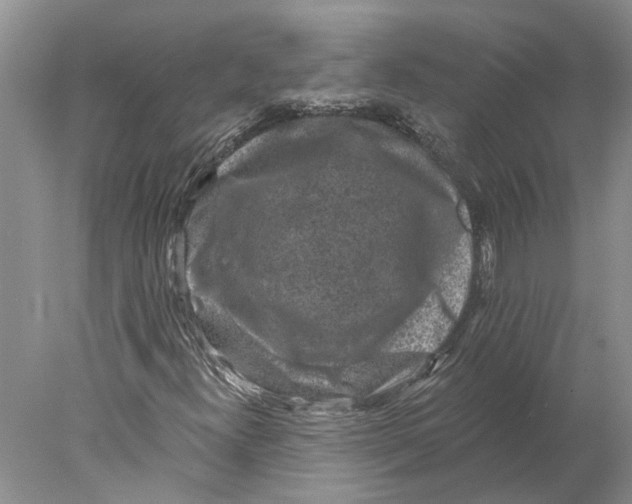 X0000077981300200611171718