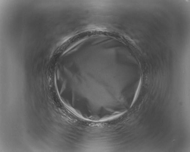 X0000077981303200611171718