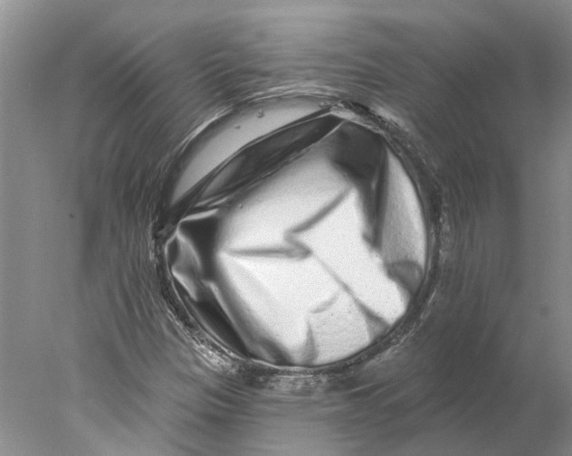 X0000077981305200611171718