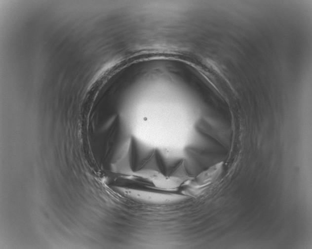 X0000077981307200611171718