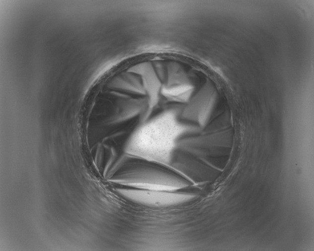 X0000077981311200611171718