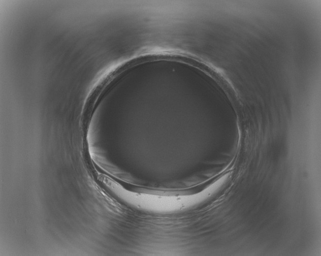 X0000077981319200611171718