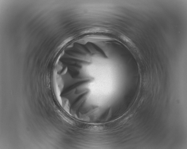 X0000077981321200611171718