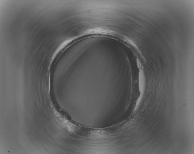 X0000077981323200611171718