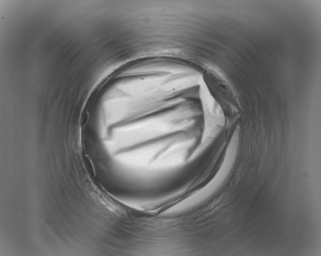 X0000077981324200611171718