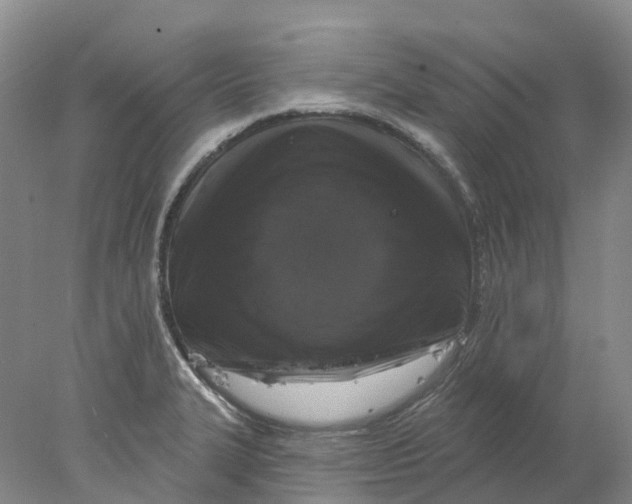 X0000077981327200611171718
