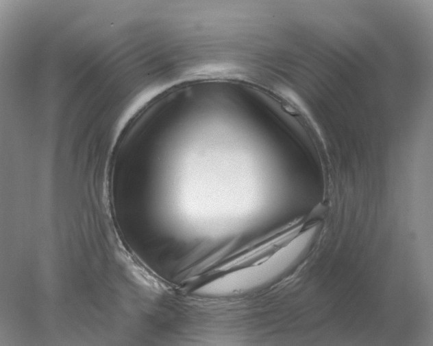 X0000077981336200611171719